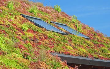 Hobbs Wall living roof systems